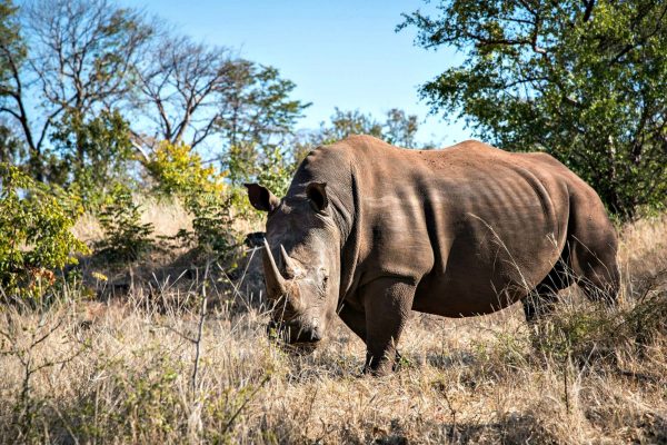 The Musi oa tunya National Park