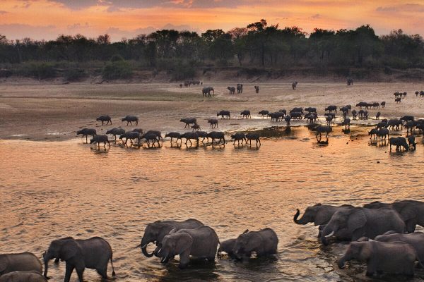 ZAMBIA TRAVEL IN MONSOON AND WHEN BEST TO TRAVEL